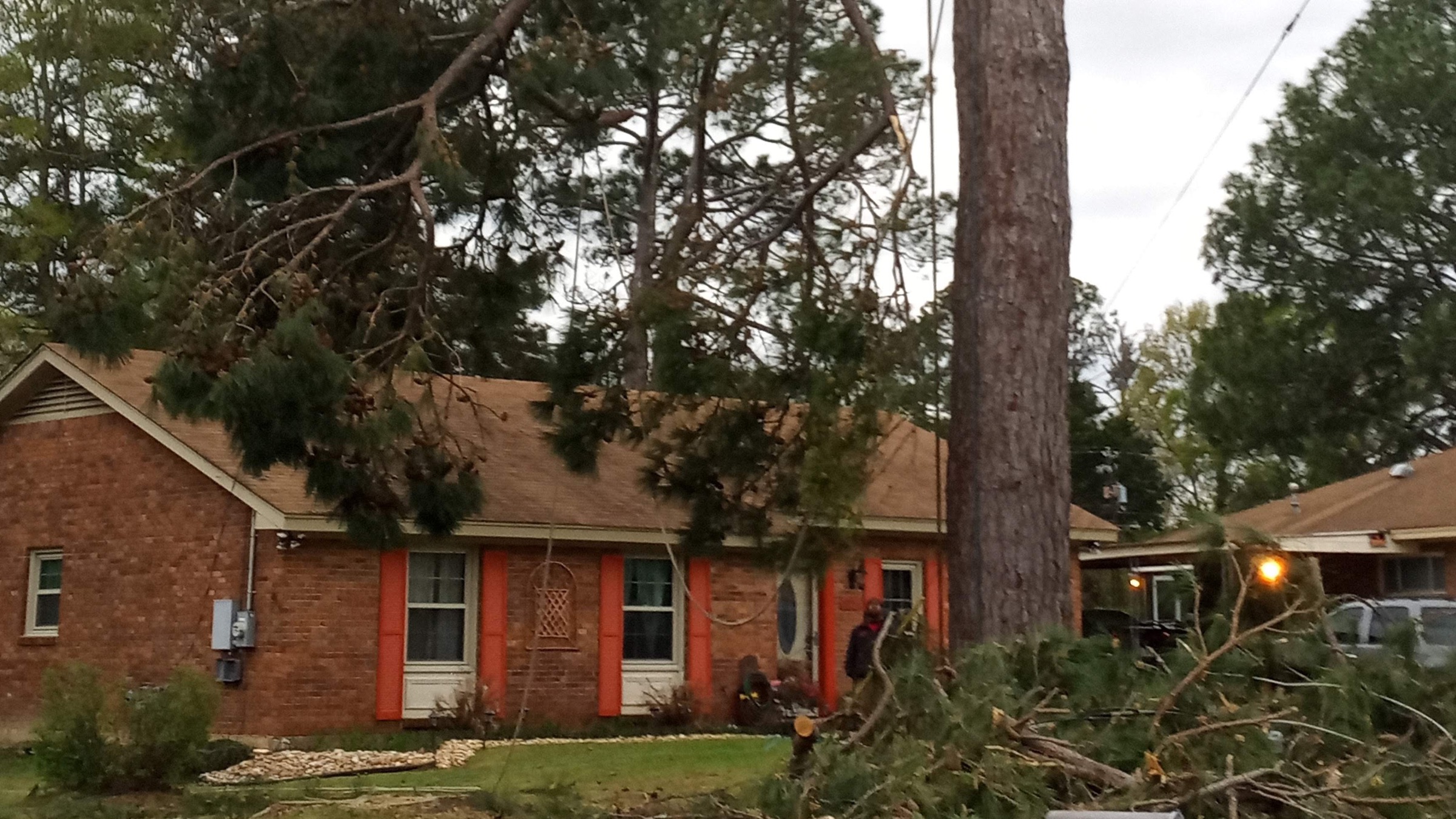 A tall pine being taken down over a brick house, with cut branches lying across the roof and front yard
