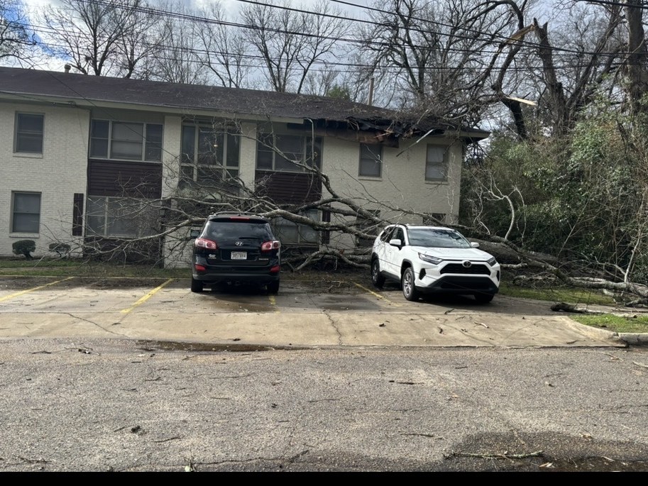 A storm-fallen tree down across the parking bays and onto the building's eave