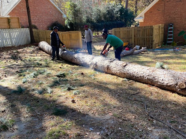 The All About Trees crew cutting a large felled trunk into rounds in a back yard