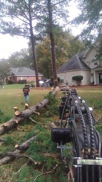 The crew and machinery working a large felled trunk beside a customer's home