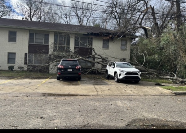A storm-fallen tree down across the parking bays and onto the building's eave