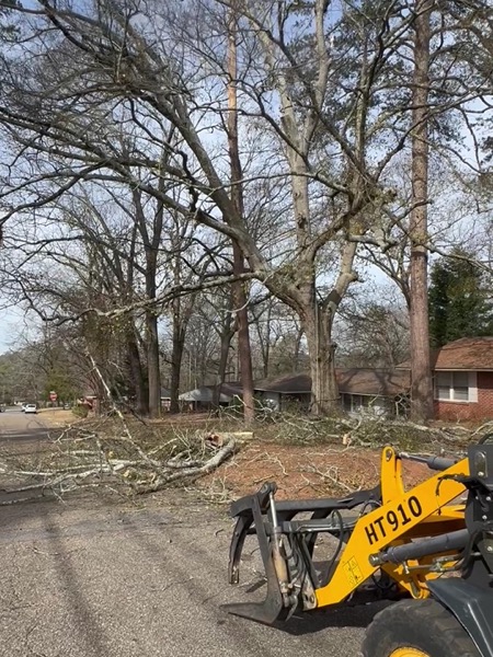 Felled timber and cut branches on the ground with the grapple loader on site